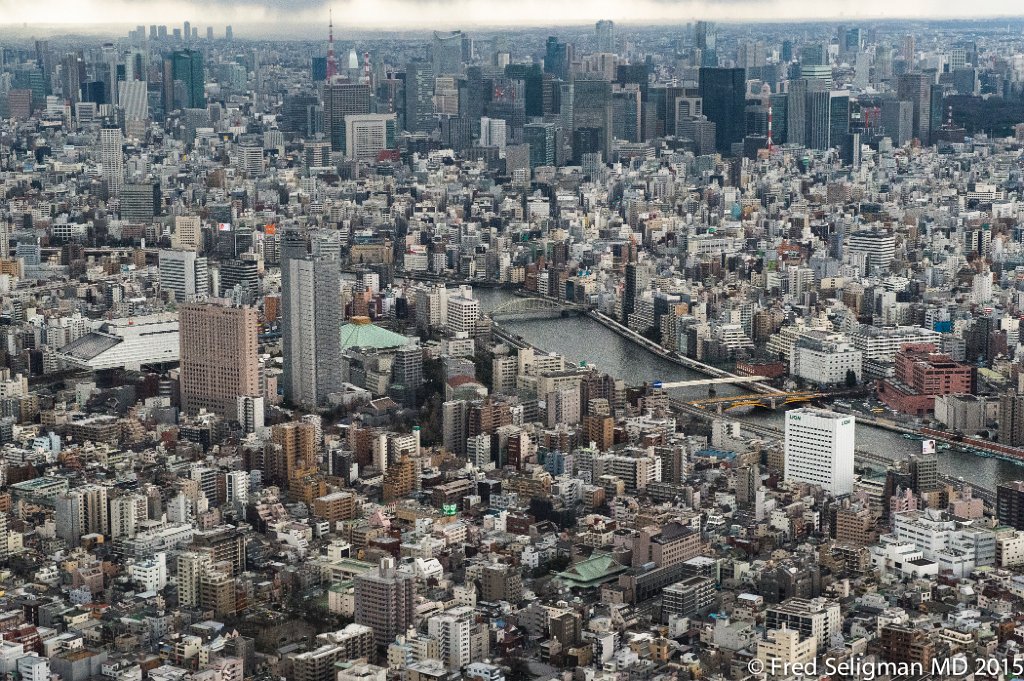 20150310_145829 D4S.jpg - View from Tokyo Skytree